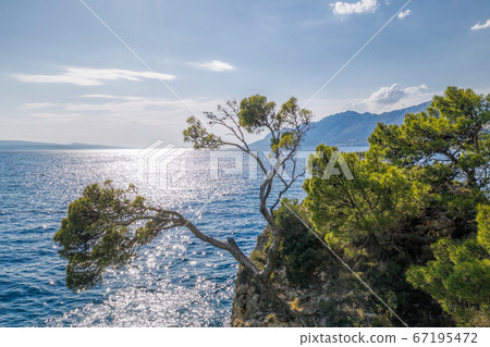 Famous Punta Rata beach with little island in Brela, Dalmatia, Croatia 67195472