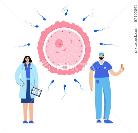 Reproductive system concept 67195843