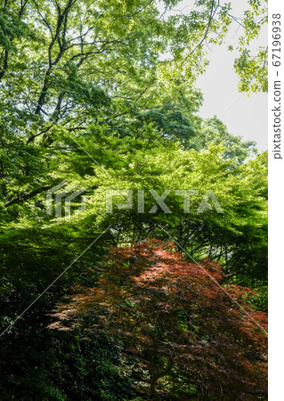 橫濱都筑綠色路 67196938