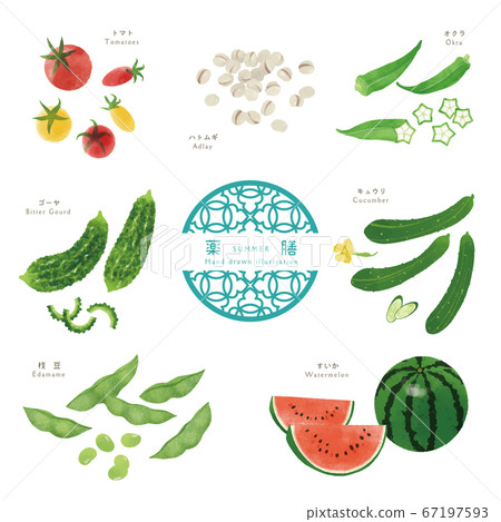 夏季藥物/成分的手繪插圖-1 夏季藥物/成分的手繪插圖-1 67197593