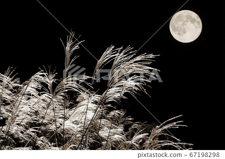 Full Moon and Susuki Full Moon and Susuki 67198298