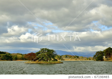 南湖公園的秋葉 南湖公園的秋葉 67198465