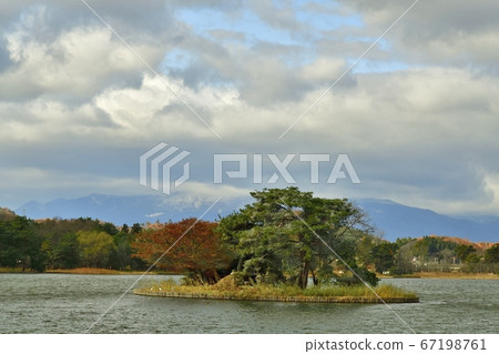 南湖公園的秋葉 南湖公園的秋葉 67198761