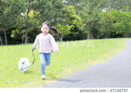 公園裡的女孩和她的狗博美犬同行 67198797