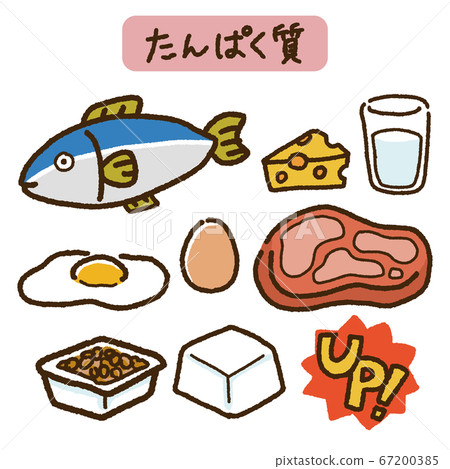 Illustration set of foods high in protein 67200385