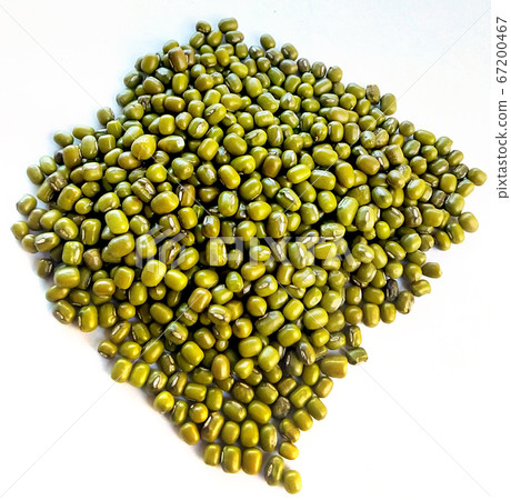 Green Mung Beans Also Know as Mung Dal, Vigna Green Mung Beans Also Know as Mung Dal, Vigna 67200467