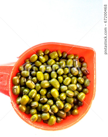 Green Mung Beans Also Know as Mung Dal, Vigna Green Mung Beans Also Know as Mung Dal, Vigna 67200468
