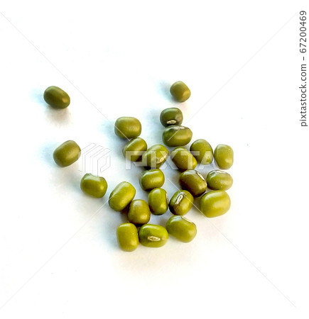Green Mung Beans Also Know as Mung Dal, Vigna Green Mung Beans Also Know as Mung Dal, Vigna 67200469