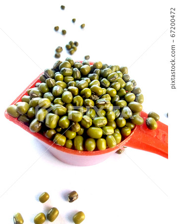 Green Mung Beans Also Know as Mung Dal, Vigna Green Mung Beans Also Know as Mung Dal, Vigna 67200472
