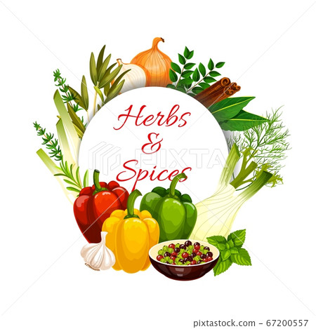 Spices Culinary Herbs Seasonings And Vegetables Stock Illustration