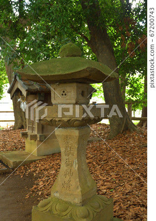 Minuma field: Hasunuma Sugawara Shrine Minuma field: Hasunuma Sugawara Shrine 67200743