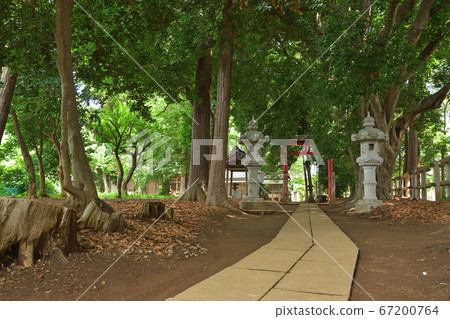 Minuma領域:un沼Has河原神社 Minuma領域:un沼Has河原神社 67200764