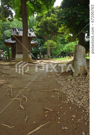Minuma領域:un沼Has河原神社 Minuma領域:un沼Has河原神社 67200765