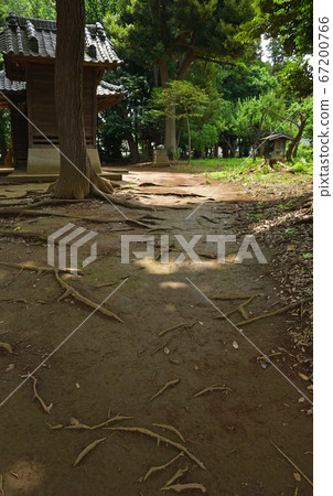 Minuma領域:un沼Has河原神社 Minuma領域:un沼Has河原神社 67200766