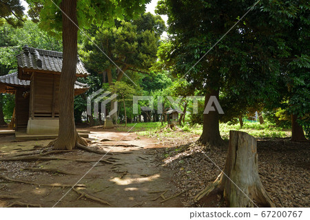 Minuma領域:un沼Has河原神社 Minuma領域:un沼Has河原神社 67200767