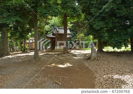 Minuma領域:un沼Has河原神社 Minuma領域:un沼Has河原神社 67200768