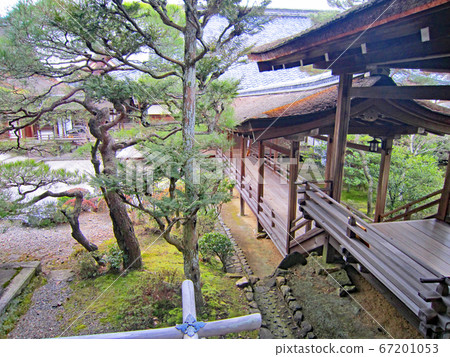 Ninna-ji寺在冬天 67201053