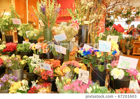 花店加拿大 67201603