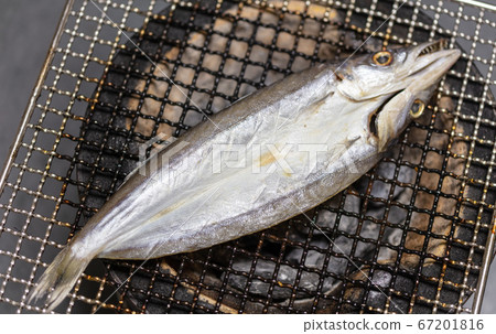 梭子魚_木炭燒烤爐燒烤/燒烤/木炭燒烤爐/網烤爐/賓喬木炭/七個輪子/露營/餐 67201816