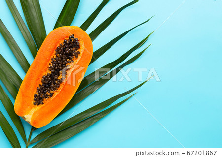 Sweet ripe papaya on tropical palm leaves. Top Sweet ripe papaya on tropical palm leaves. Top 67201867