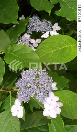 一個人的時候我會感到孤獨,但我覺得活著是值得的,因為有我們兩個人。 一個人的時候我會感到孤獨,但我覺得活著是值得的,因為有我們兩個人。 67201916