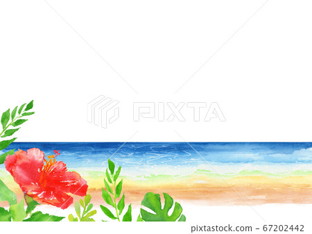 Sea hibiscus background illustration watercolor 67202442