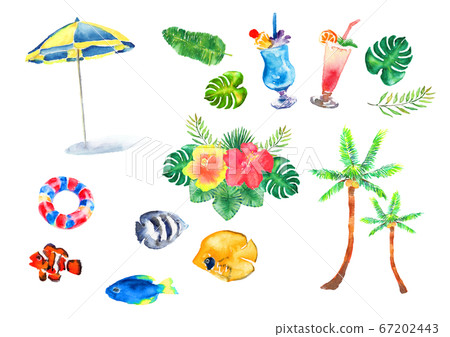 Summer tropical leaves hand-painted set watercolor illustration tropical palm leaves banana leaves 67202443