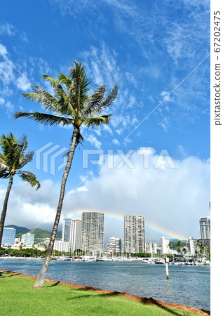 夏威夷的假期 夏威夷的假期 67202475