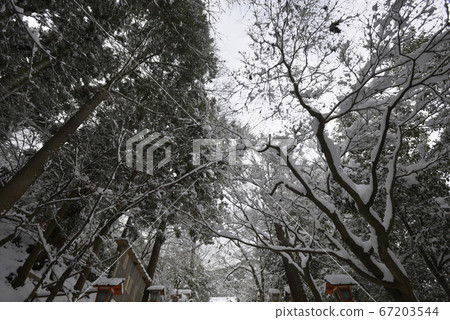 恭子法音寺雪景 恭子法音寺雪景 67203544