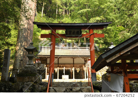 "Sakuragi Shrine" where you can feel the many signs 67204252
