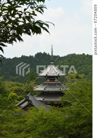 Yoshino Asamiya ruins (Nancho Myohoden) Yoshino Asamiya ruins (Nancho Myohoden) 67204809