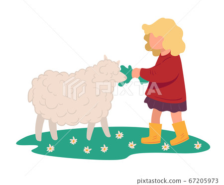 Small Kid Feeding Sheep With Grass On Meadow 插圖素材 圖庫