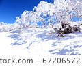 Foggy ice of Mt. Arashima 67206572