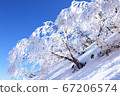 Foggy ice of Mt. Arashima 67206574