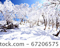 Foggy ice of Mt. Arashima 67206575