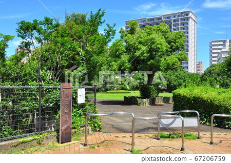 Fujisawa City, Kanagawa Prefecture Okuda Park and Fresh Green 67206759