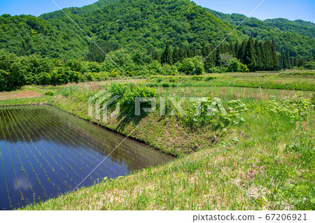 從旭原山腳下的旭原眺望春山。 從旭原山腳下的旭原眺望春山。 67206921