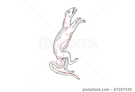 88 constellation with shadow White Libra 88 constellation with shadow White Libra 67207430