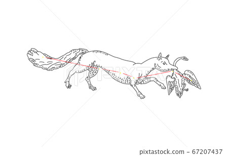 88 Constellation with shadow White fox 88 Constellation with shadow White fox 67207437