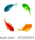 Fish-watercolor 4 color 67207655
