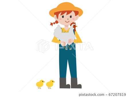 Poultry chicken female illustration 67207819