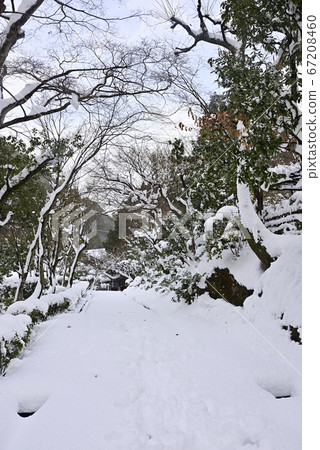 前往參天神社寺路的雪景 67208460