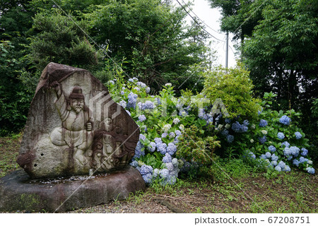 靜祖神仙繡球 靜祖神仙繡球 67208751