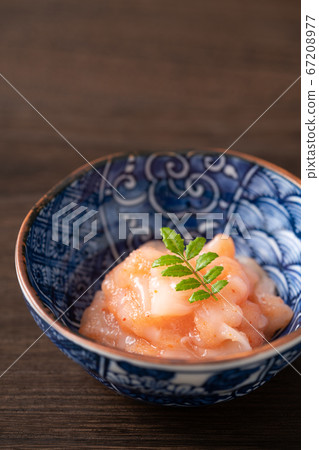 Squid Akaita Squid Akaita 67208977