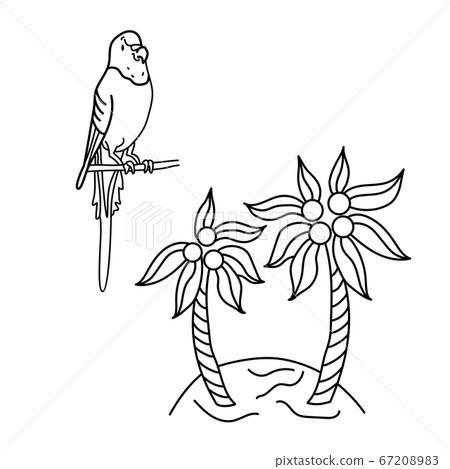 Colorful wavy parrot and island with palm trees. Black and white vector illustration in cartoon style. Circuit Colorful wavy parrot and island with palm trees. Black and white vector illustration in cartoon style. Circuit 67208983