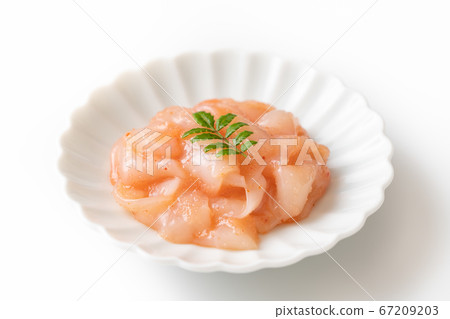 Squid Akaita Squid Akaita 67209203
