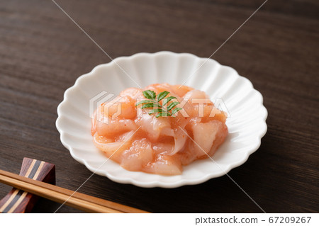 Squid Akaita Squid Akaita 67209267