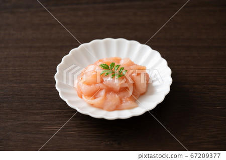 Squid Akaita 67209377