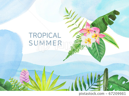 Tropical watercolor background Tropical watercolor background 67209981