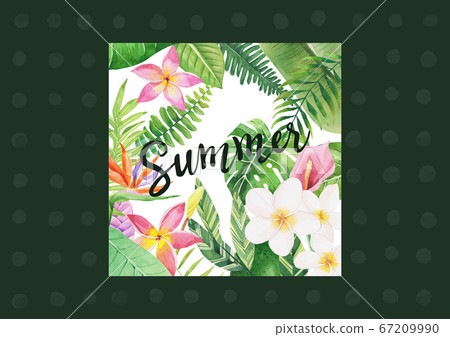 Tropical watercolor background Tropical watercolor background 67209990